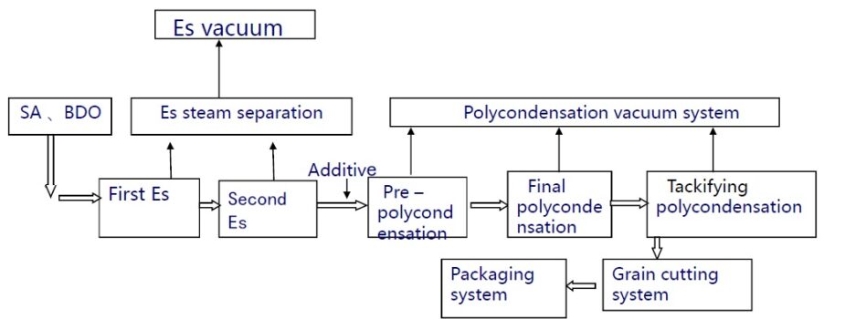 PBS Petrochemical Production Process
