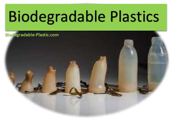 Biodegradation Process, Eco-friendly plastics